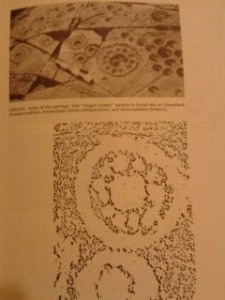 Page 113 from Ronald W.B Morris's "The Prehistoric Rock Art of Argyll" featuring the Ormaig Rosettes cup and ring marks. ( Dolphin press, 1977) sorry the picture is  the wrong way round.